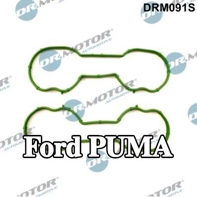 DR.MOTOR AUTOMOTIVE مجموعة حشيات، مشعب السحب — Ford Puma