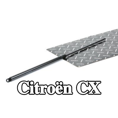 RIDEX دعامة الباب الخلفي الخلفية, 575mm — Citroën Cx