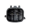 FEBI BILSTEIN VVT solenoidi Emme Tarafı, contalı/sızdırmaz — Nissan Quest (3)