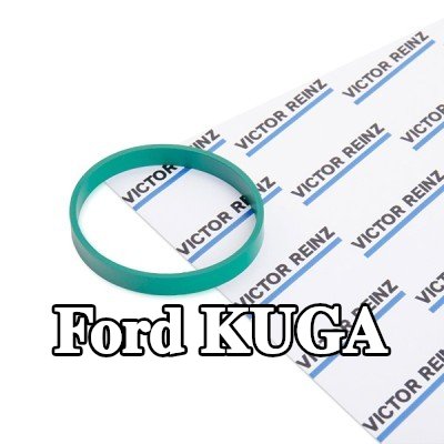 REINZ حشية مشعب السحب — 2011 Ford Kuga