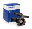 MAHLE ثرموستات 81°C, مع حشية/مانع تسرب — Renault Master (1)