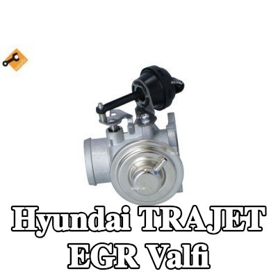 NRF Contalı/sızdırmazlık elemanlı EGR valfi — 2000 Hyundai Trajet