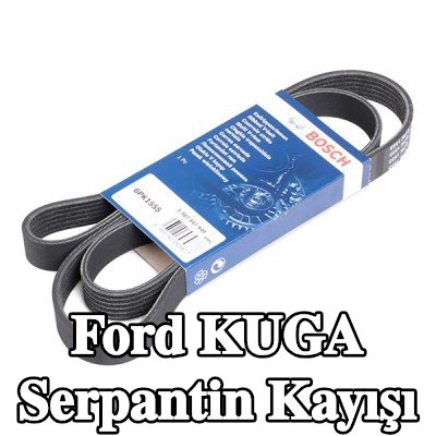 BOSCH Serpantin kayışı 1555mm, Number of ribs: 6 — Ford Kuga