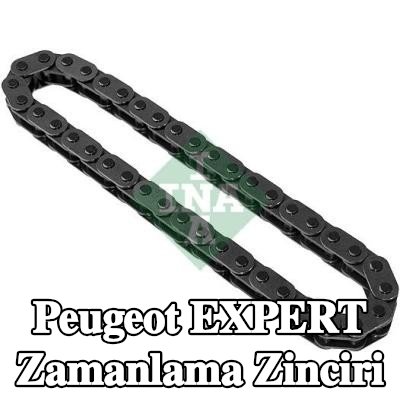 INA Zamanlama zinciri — 2000 Peugeot Expert