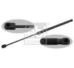 FEBI BILSTEIN Kaput desteği — 2012 Renault Duster (2)