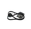 BOSCH Su pompası ve triger kayışı kiti Diş Sayısı: 135, Width: 19mm — 1993 SEAT Cordoba (3)