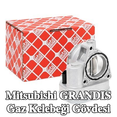 FEBI BILSTEIN Gaz kelebeği gövdesi — 2005 Mitsubishi Grandis