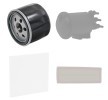 RIDEX Filtre kiti — 2002 Renault Scénic (2)