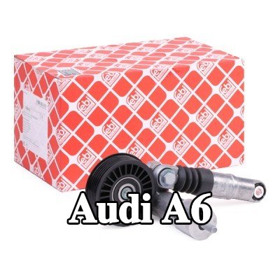 FEBI BILSTEIN مشده حزام المحرك — 2002 Audi A6