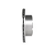 BOSCH القطر الخارجي لقرص المكابح: 290mm, مُهوى, مشحم — Renault Mascott (8)