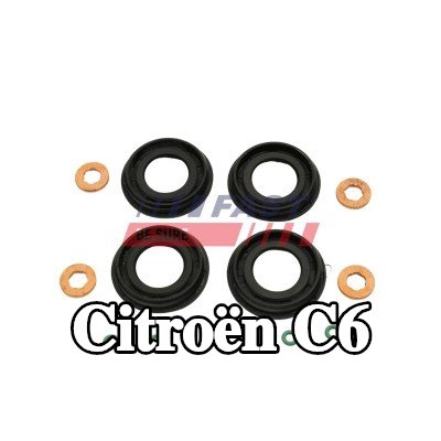 FAST طقم مانع تسرب الحاقن — Citroën C6