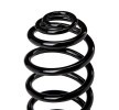 SACHS Helezon yay — Opel Cascada (4)