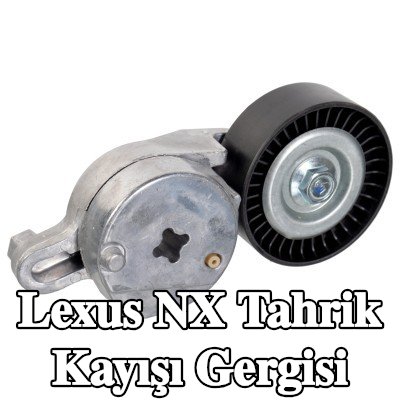 FEBI BILSTEIN Tahrik kayışı gergisi — Lexus Nx