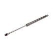 RIDEX Bagaj kapağı desteği 524mm — Honda Accord (3)