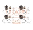 IAP QUALITY PARTS Piston segmanlı piston — Kia Stinger (2)