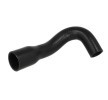 THERMOTEC Isıtıcı fan motoru — Audi Allroad (1)