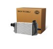 HELLA Intercooler — 2012 Ford Ka (1)