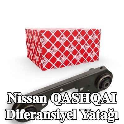 FEBI BILSTEIN Diferansiyel yatağı Arka Aks — Nissan Qashqai