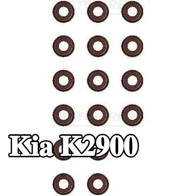 REINZ مجموعة سدادات صمامات الصمامات — Kia K2900