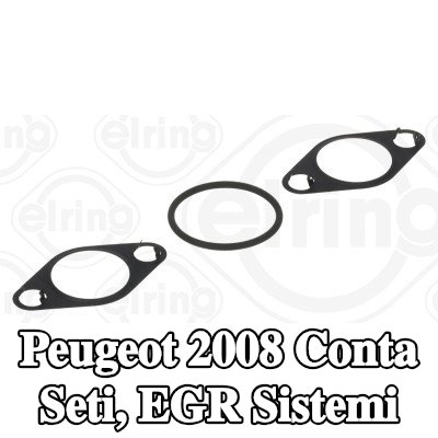 ELRING Conta seti, EGR sistemi — Peugeot 2008