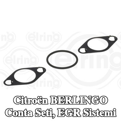 ELRING Conta seti, EGR sistemi — Citroën Berlingo