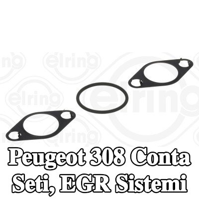 ELRING Conta seti, EGR sistemi — Peugeot 308