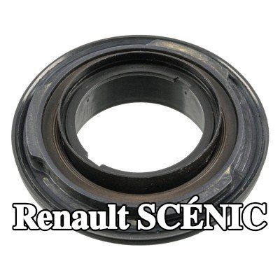FEBI BILSTEIN حشية العمود المرفقي من مادة PTFE (بولي تترافلوروإيثيلين), مع جلبة التثبيت — Renault Scénic