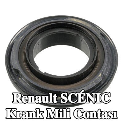 FEBI BILSTEIN Krank mili contası PTFE (politetrafloroetilen), montaj manşonu ile — Renault Scénic