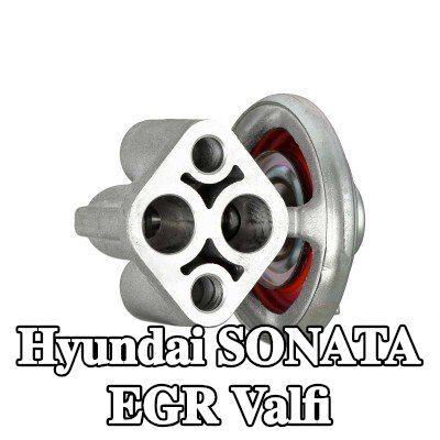 HELLA Contasız/sızdırmazlık elemanı olmayan EGR valfi — 2000 Hyundai Sonata