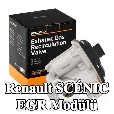 RIDEX EGR soğutucusundan sonra EGR Modülü, sabitleme/montaj malzemesi ile, Düşük Basınç Tarafı — Renault Scénic
