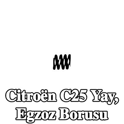 VEGAZ Yay, egzoz borusu — Citroën C25