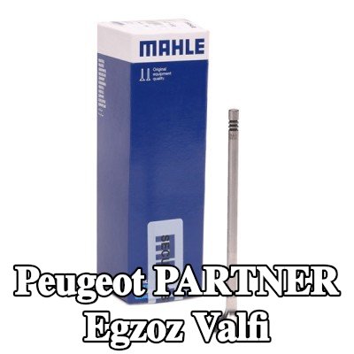 MAHLE Egzoz valfi, egzoz tarafı, Zırhlı valf yuvası — Peugeot Partner