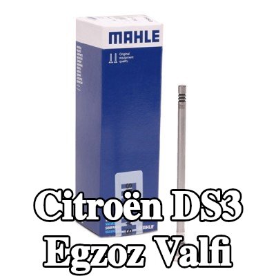 MAHLE Egzoz valfi, egzoz tarafı, Zırhlı valf yuvası — Citroën Ds3