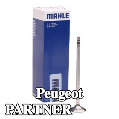 MAHLE صمام العادم جانب العادم, مقعد صمام مدرع — Peugeot Partner