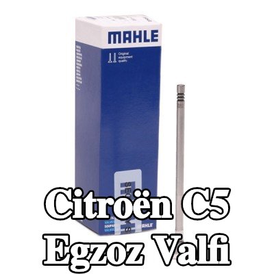 MAHLE Egzoz valfi, egzoz tarafı, Zırhlı valf yuvası — 2012 Citroën C5