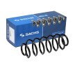 SACHS Helezon yay — 2012 Ford Fiesta (1)