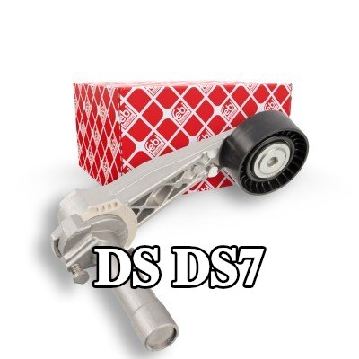 FEBI BILSTEIN مشده حزام المحرك — DS Ds7