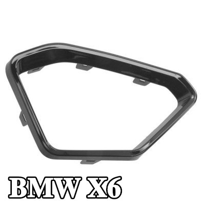 BLIC شبكة المصد الأيسر الأمامي, أمامي أيمن — BMW X6