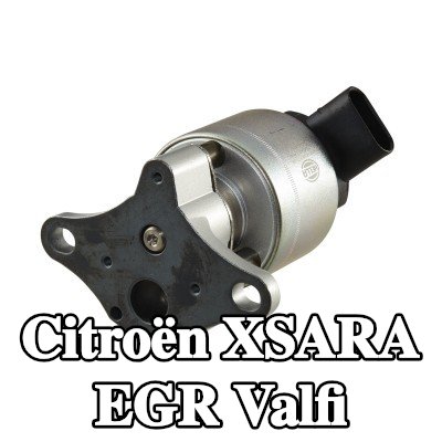 HELLA Contasız/sızdırmazlık elemanı olmayan EGR valfi — Citroën Xsara