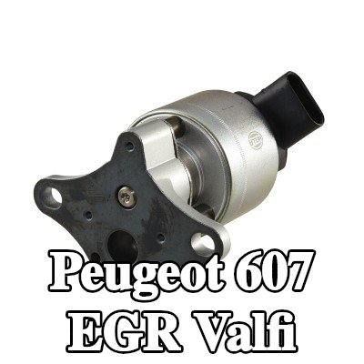 HELLA Contasız/sızdırmazlık elemanı olmayan EGR valfi — 2002 Peugeot 607
