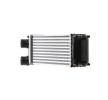 MAHLE Intercooler — Peugeot 307 (3)