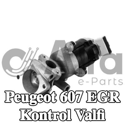 Alfa e-Parts Conalı/sızdırmazlık elemanlı EGR kontrol valfi — Peugeot 607