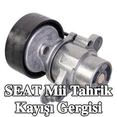 FEBI BILSTEIN Tahrik kayışı gergisi — SEAT Mii