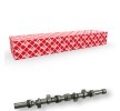 FEBI BILSTEIN Eksantrik Mili — Renault Clio (1)
