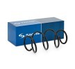 SACHS Helezon yay — BMW 3 Series (1)