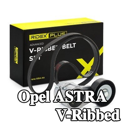 RIDEX PLUS مجموعة أحزمة V-Ribbed — 2000 Opel Astra