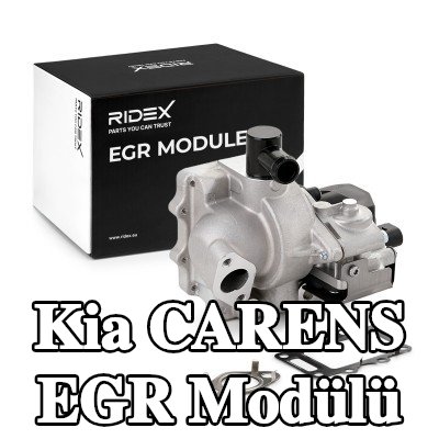 RIDEX Conta/sızdırmazlık elemanlı EGR Modülü, Kontrol Ünitesi/Yazılımı eğitilmeli/güncellenmelidir — Kia Carens
