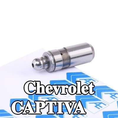 AE صمام — 2008 Chevrolet Captiva