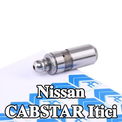 AE Itici — Nissan Cabstar