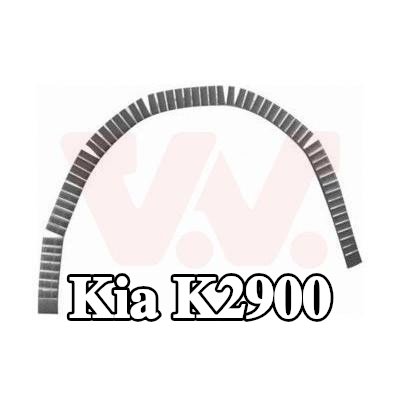 VAN WEZEL لوحة جانبية يسرى, يمين — Kia K2900